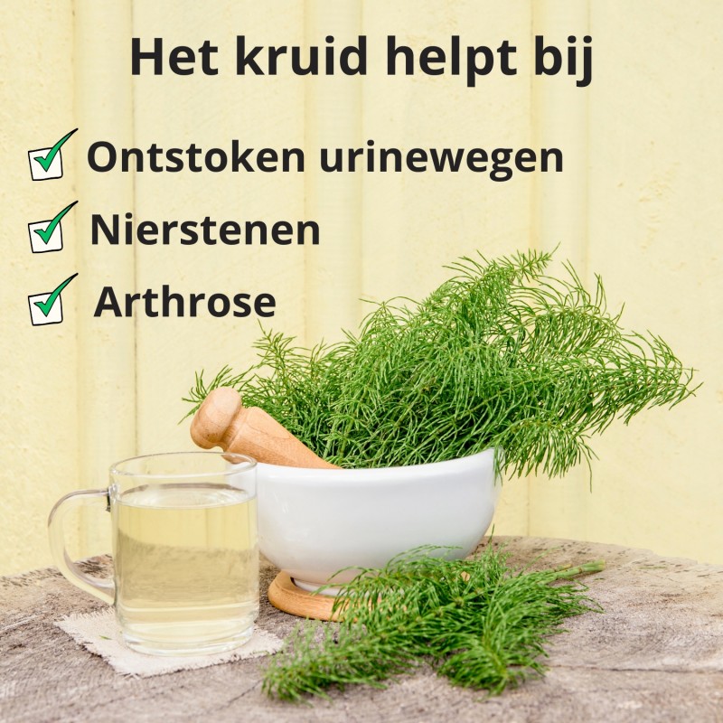 Paardenstaart stengel - 70g