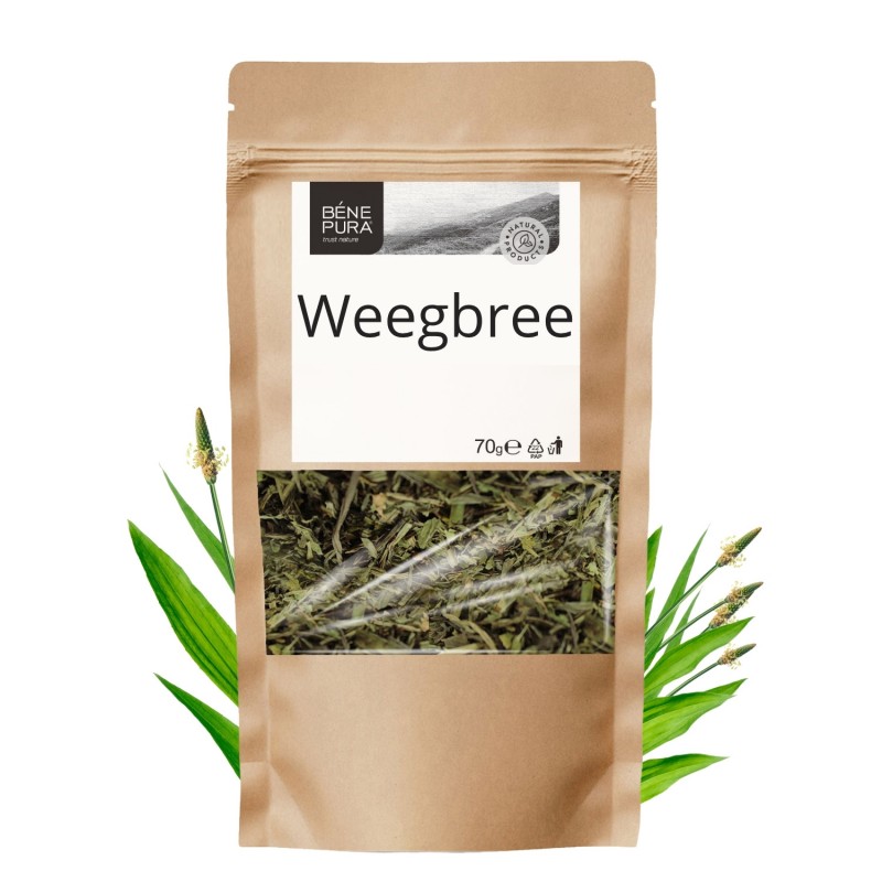 Weegbree - 70g - Kruiden