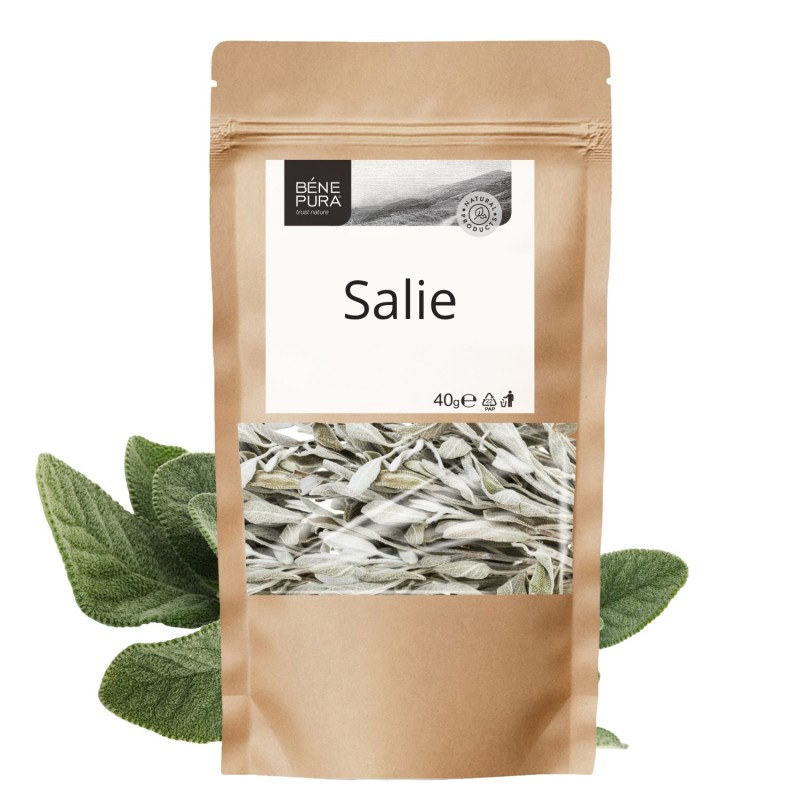 Salie - 40g - Kruiden