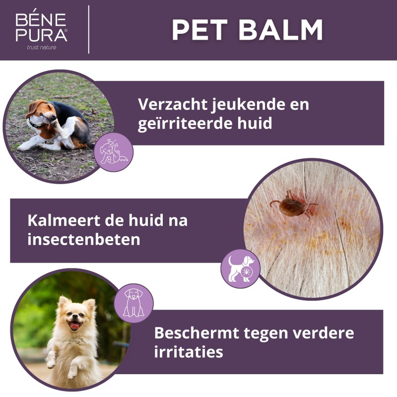 Zalven voor honden Set
