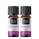 2x Bio Oregano Etherische olie - 10ml