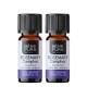 2x Bio Rozemarijn Kamfer Etherische olie - 5ml