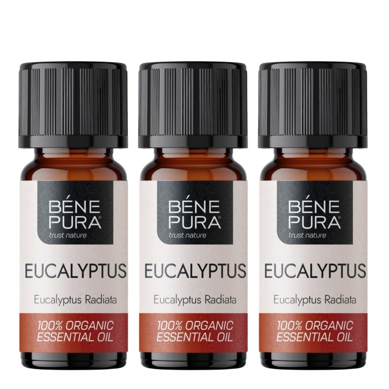 3x Bio Eucalyptus Radiata Etherische olie - 5ml - Productenvergelijking