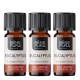 3x Bio Eucalyptus Radiata Etherische olie - 5ml