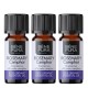 3x Bio Rozemarijn Kamfer Etherische olie - 5ml