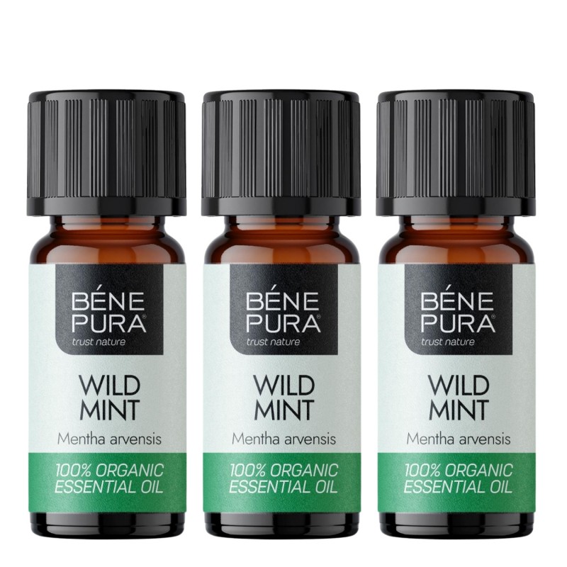 3x Bio Wilde Munt Etherische olie - 5ml - Sets