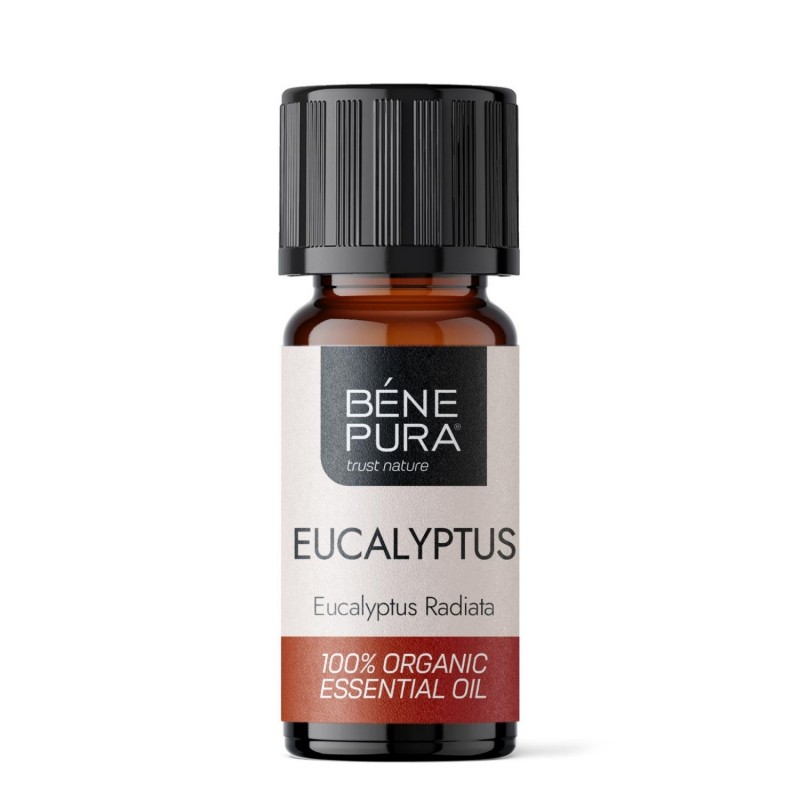 Bio Eucalyptus Radiata Etherische olie - 5ml - Etherische oliën