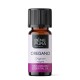 Bio Oregano Etherische olie - 10ml