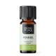 Bio Venkel Etherische olie - 10ml