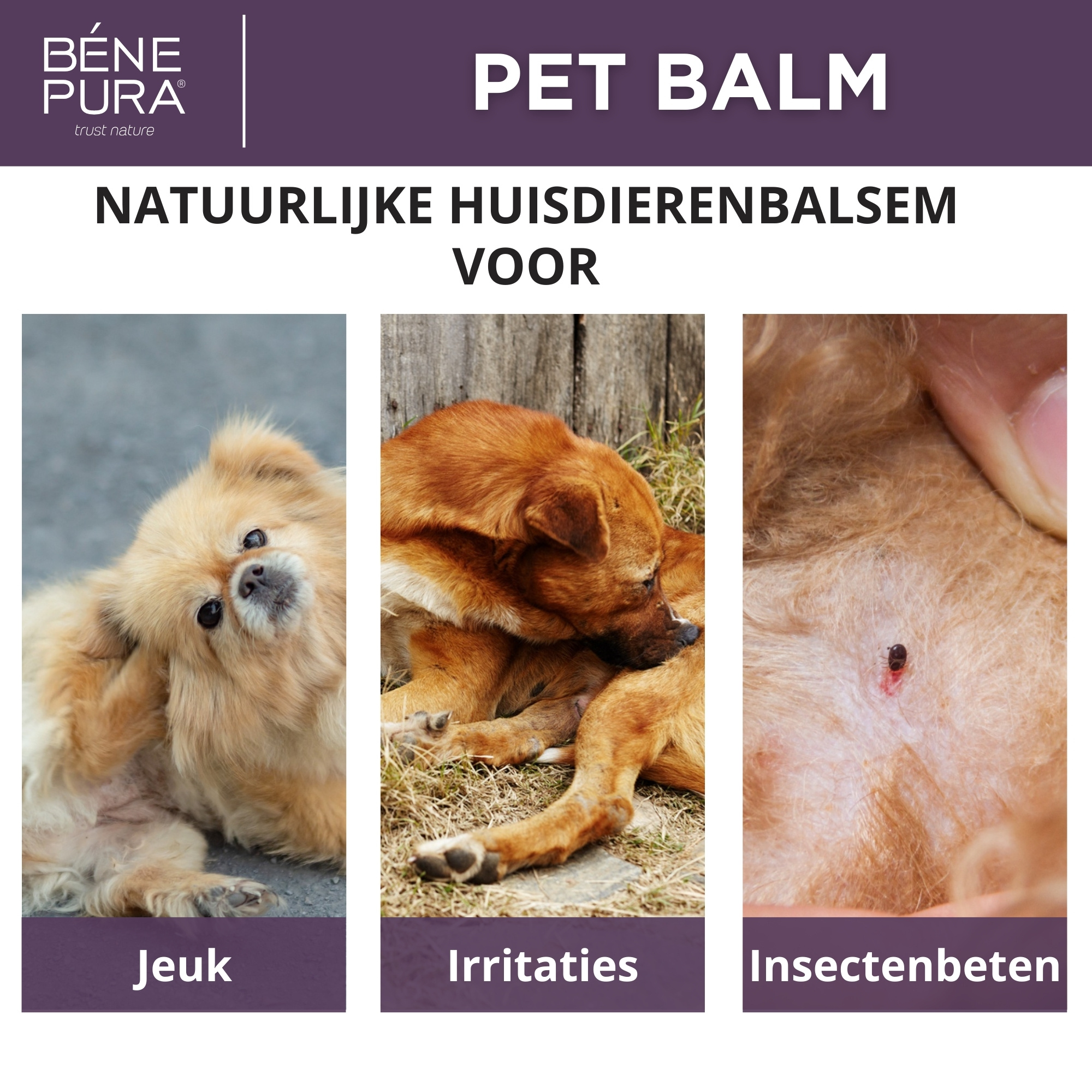 "Zalven voor honden" Set