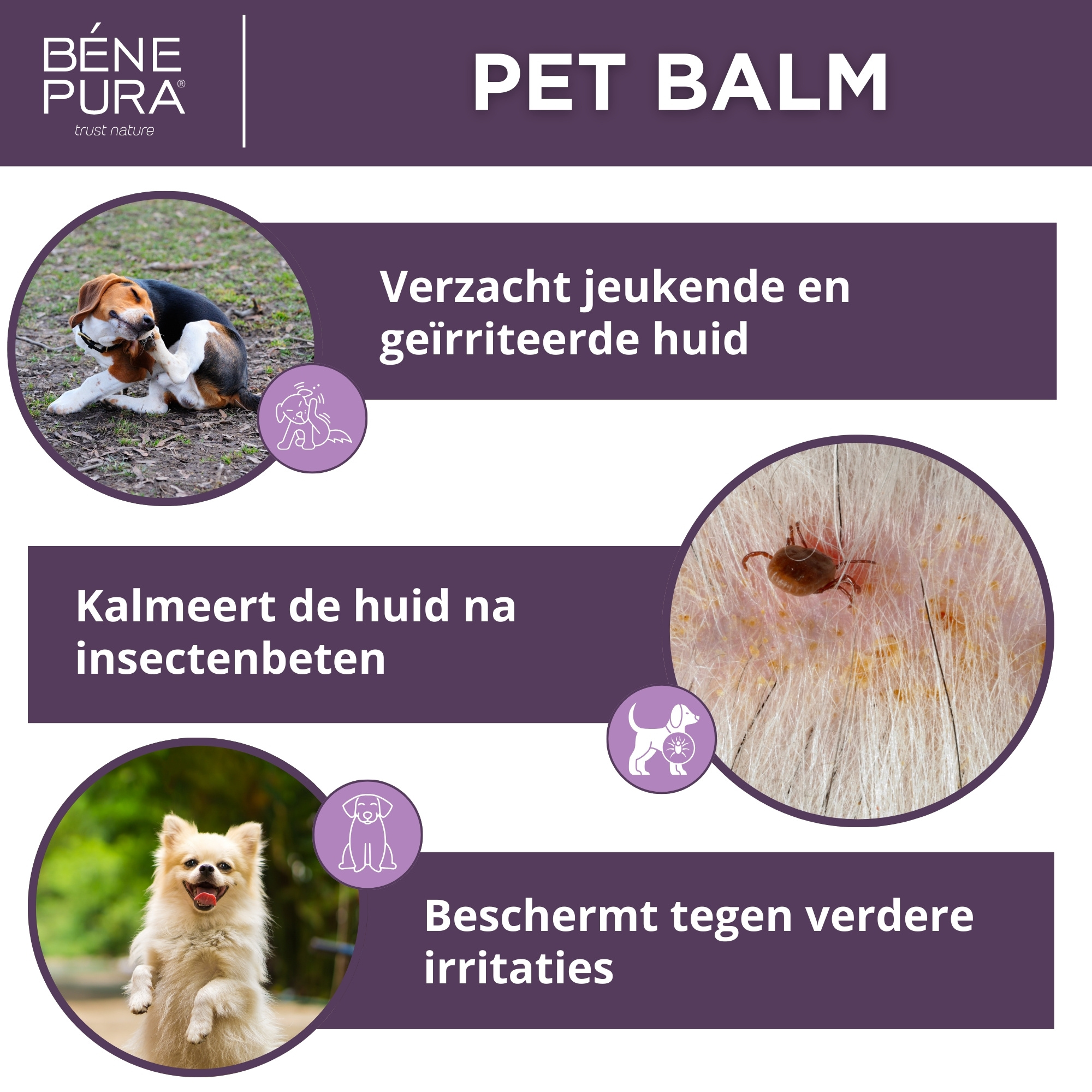 "Zalven voor honden" Set