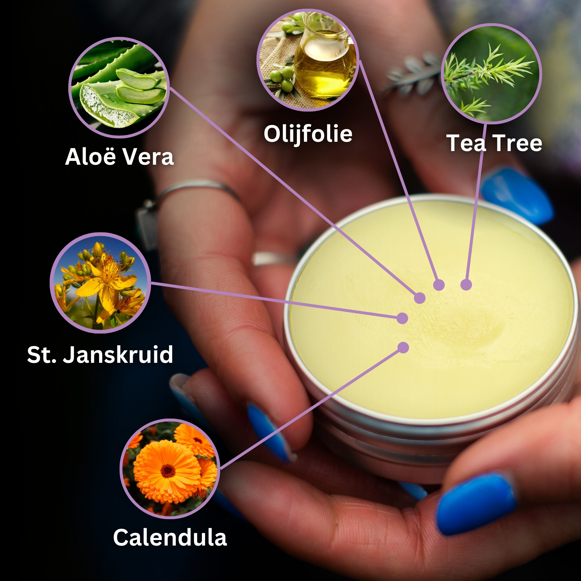 Brand- en Wondzalf met Calendula, Aloë Vera en St. Janskruid - 40ml