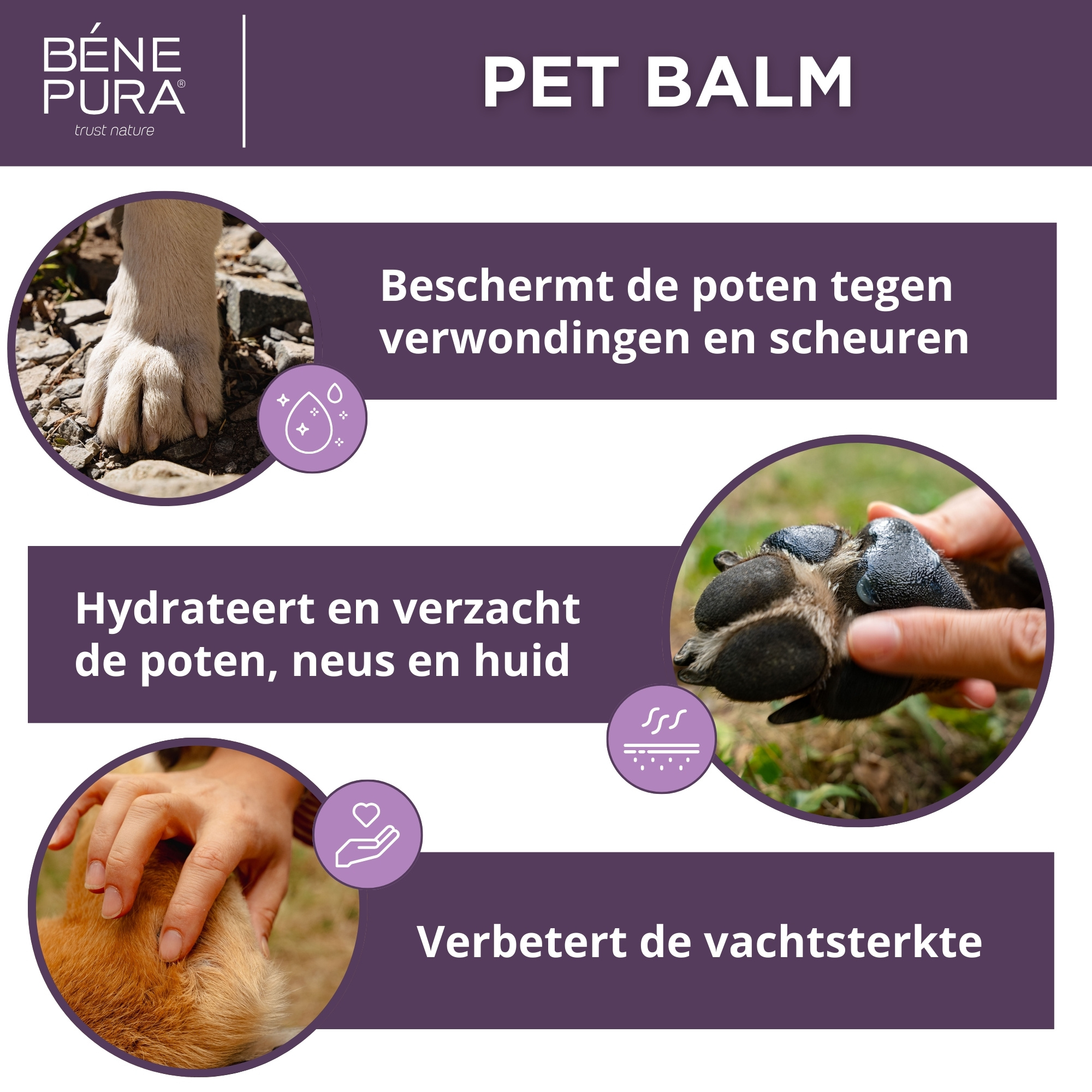 "Zalven voor honden" Set