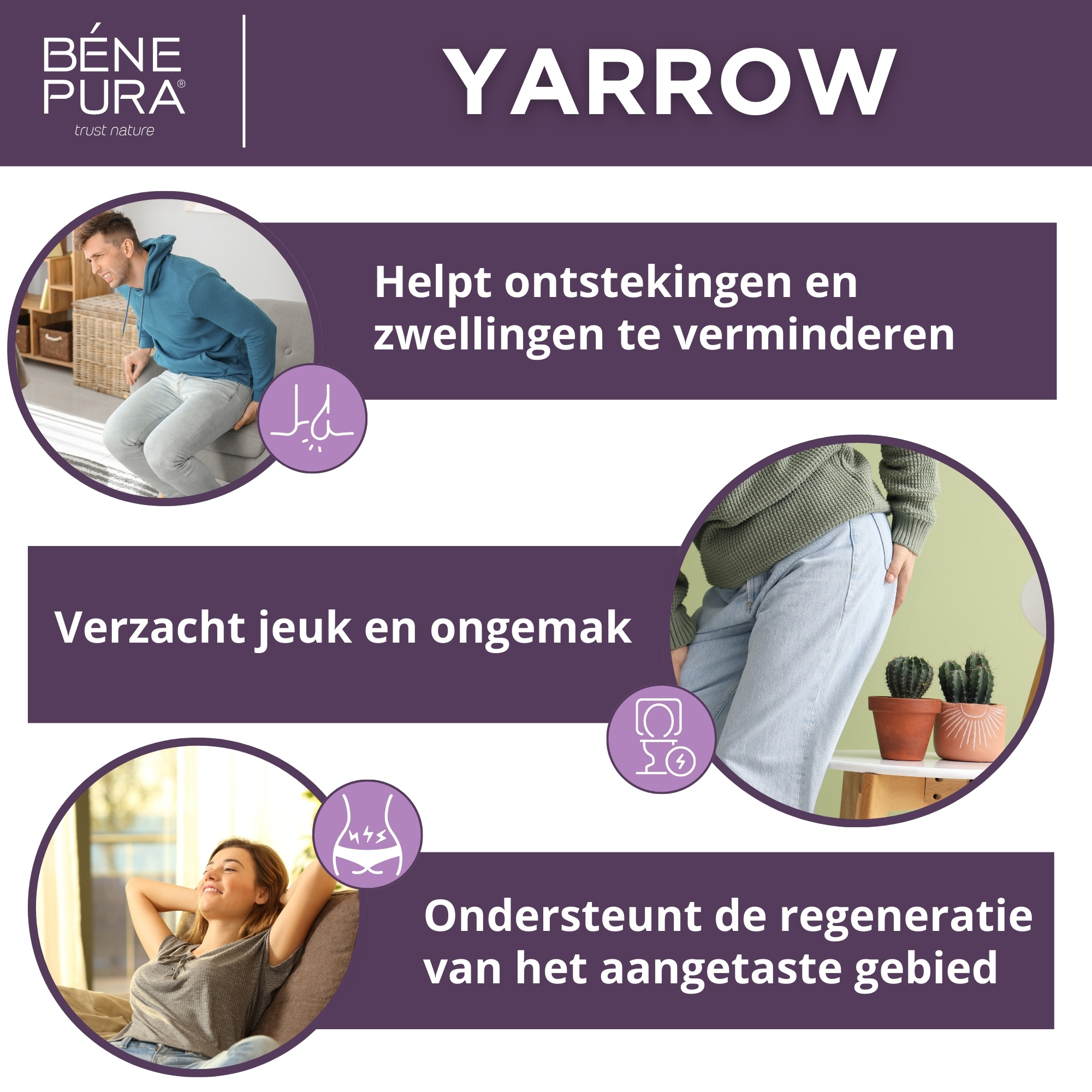 "Zalven voor Aambeien" Set